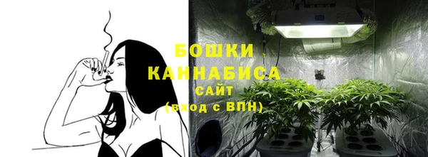 индика Ладушкин