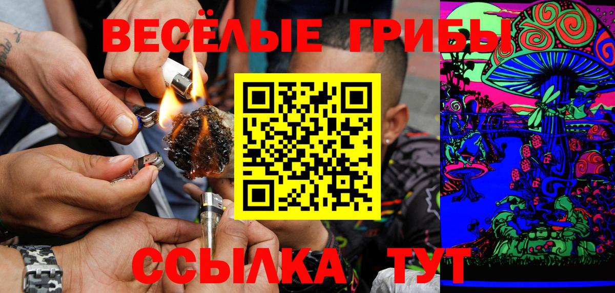 Псилоцибиновые грибы Cubensis Южноуральск