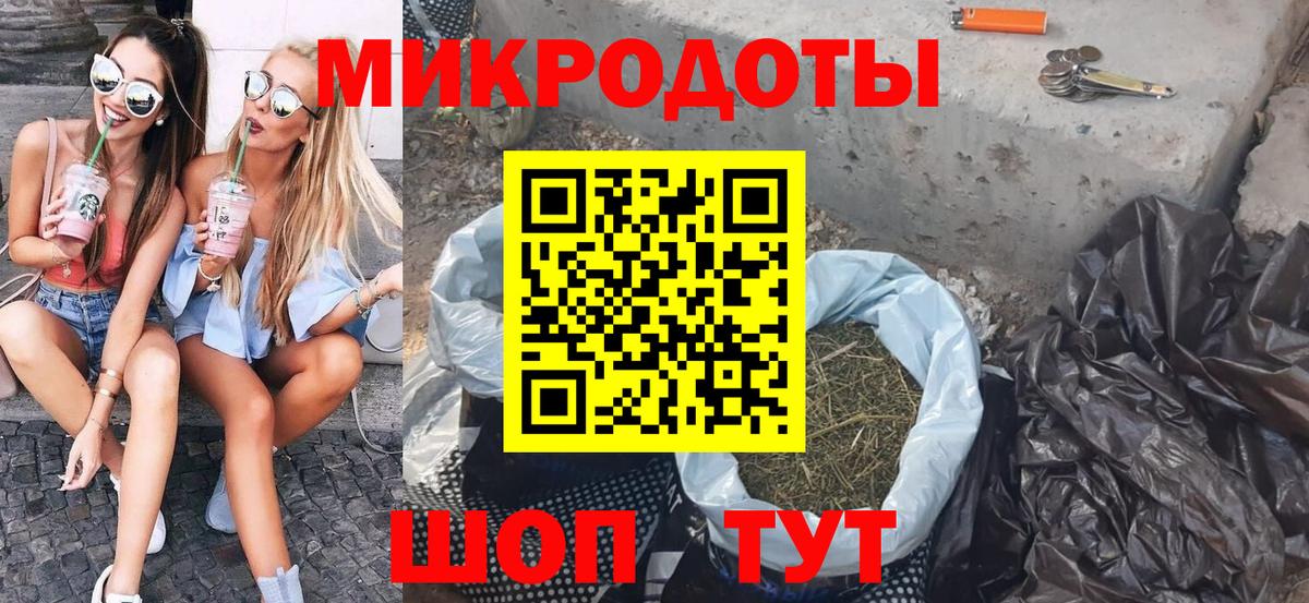 Псилоцибиновые грибы Psilocybine cubensis  Южноуральск 