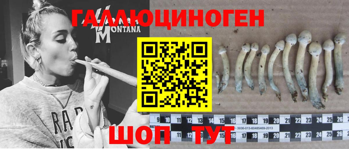 Галлюциногенные грибы GOLDEN TEACHER Южноуральск