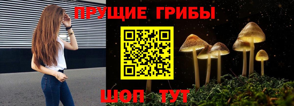 Южноуральск  купить   Вход с VPN  Галлюциногенные грибы Magic Shrooms 